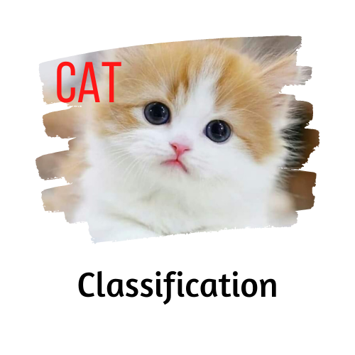 Classification